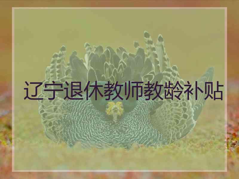 辽宁退休教师教龄补贴