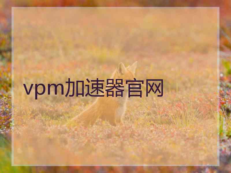 vpm加速器官网