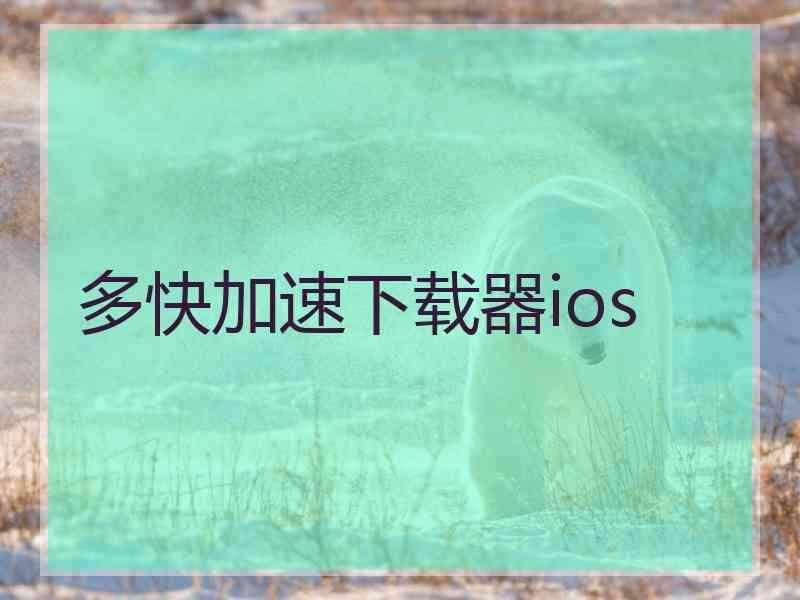 多快加速下载器ios