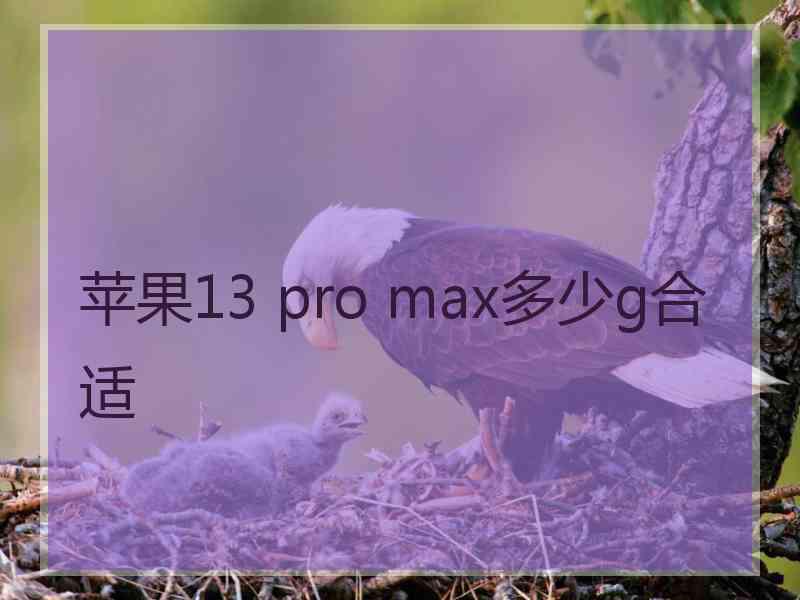 苹果13 pro max多少g合适