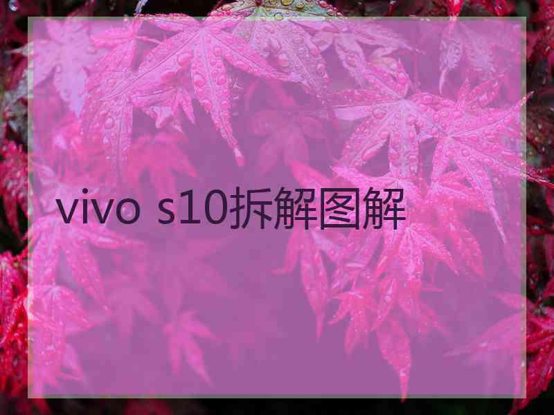 vivo s10拆解图解