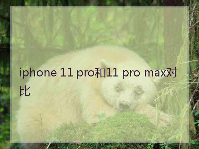 iphone 11 pro和11 pro max对比