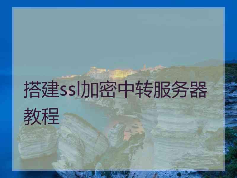 搭建ssl加密中转服务器教程