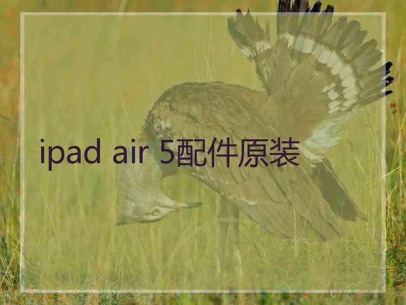 ipad air 5配件原装