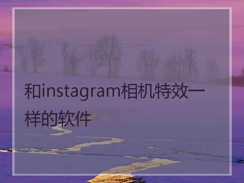 和instagram相机特效一样的软件