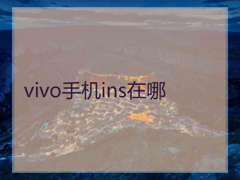 vivo手机ins在哪