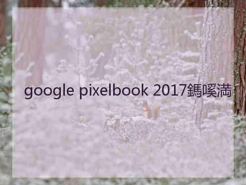 google pixelbook 2017鎷嗘満