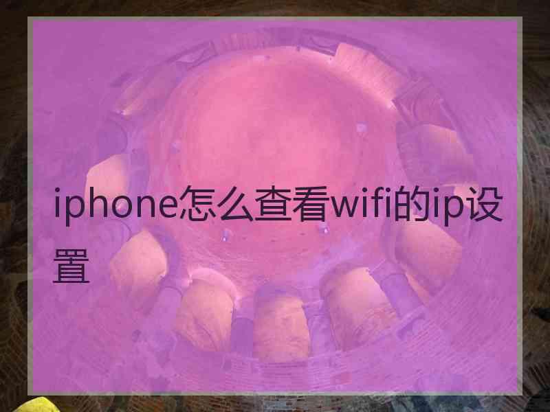 iphone怎么查看wifi的ip设置