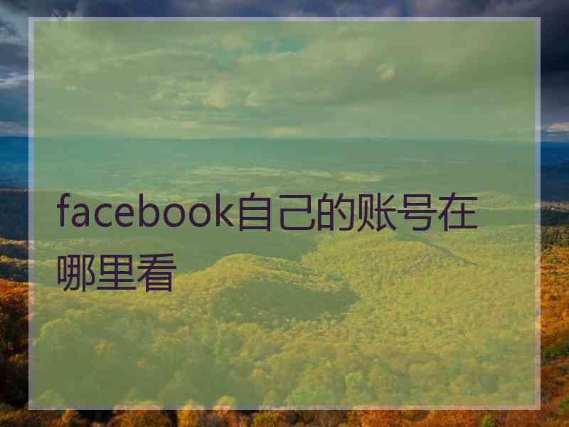 facebook自己的账号在哪里看