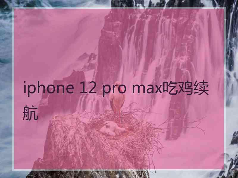 iphone 12 pro max吃鸡续航