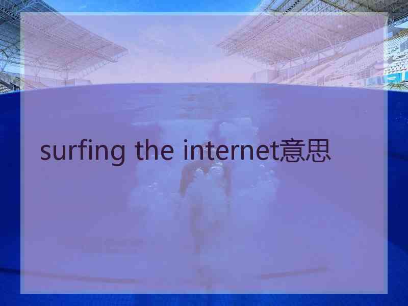 surfing the internet意思