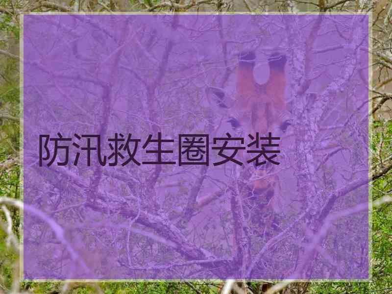 防汛救生圈安装