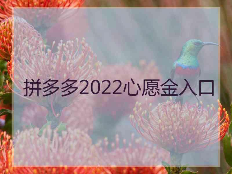 拼多多2022心愿金入口