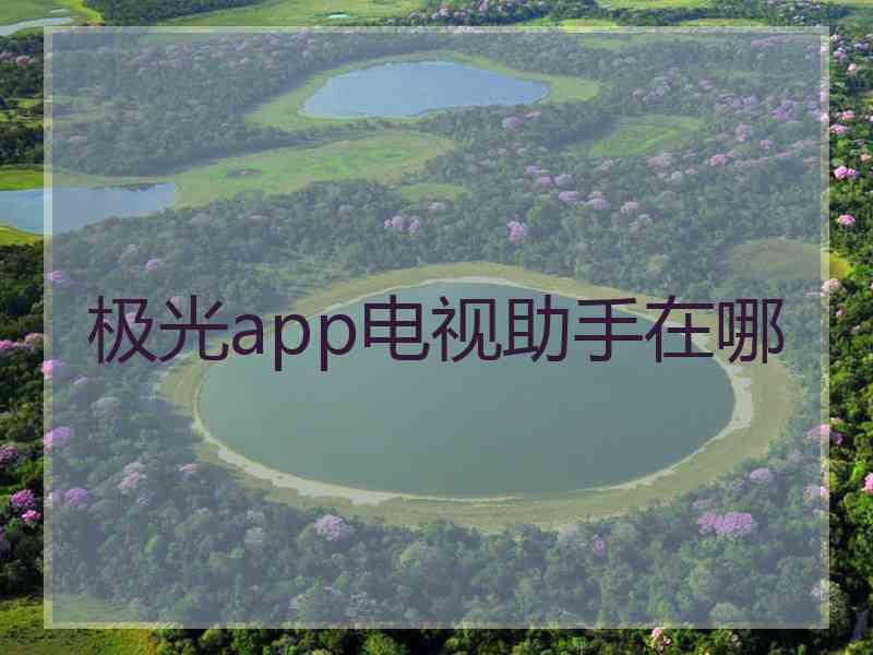 极光app电视助手在哪