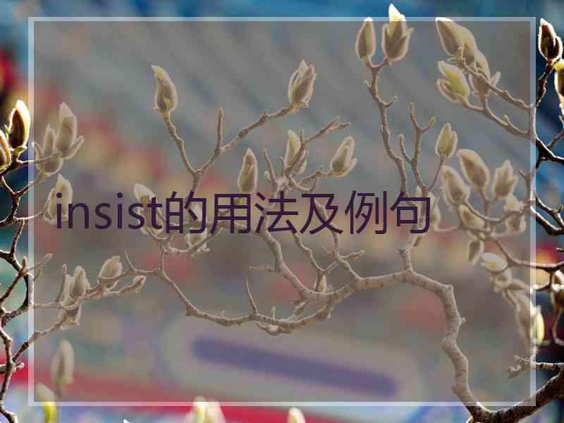 insist的用法及例句