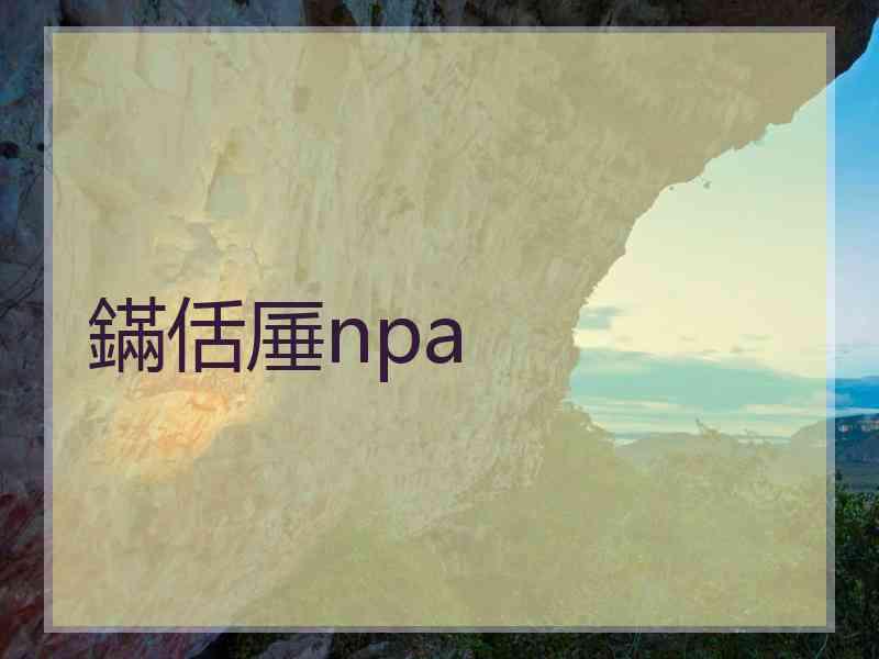 鏋佸厜npa