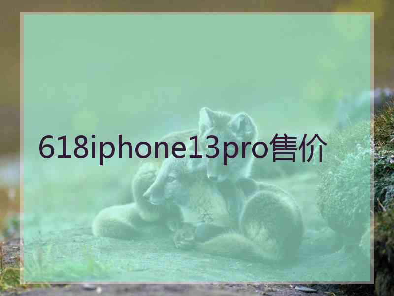 618iphone13pro售价