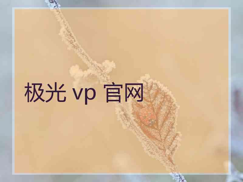 极光 vp 官网