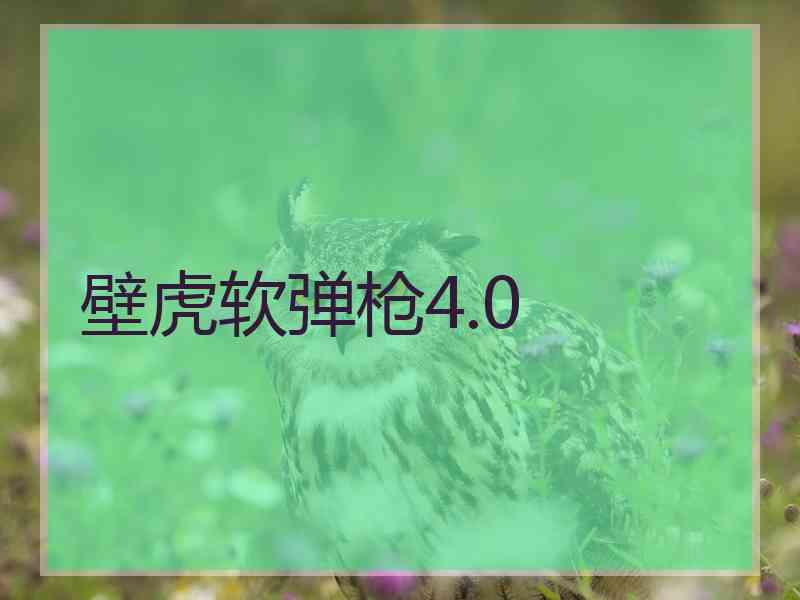 壁虎软弹枪4.0