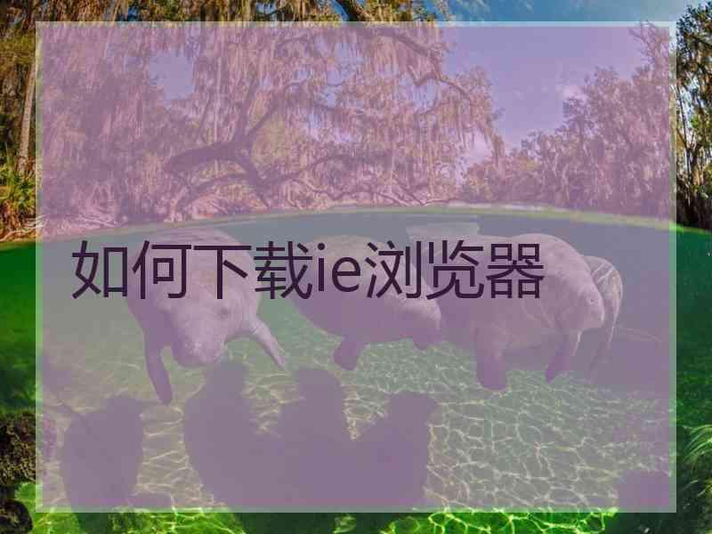 如何下载ie浏览器