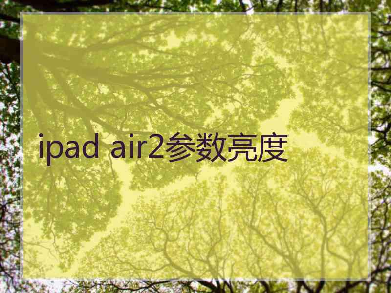 ipad air2参数亮度