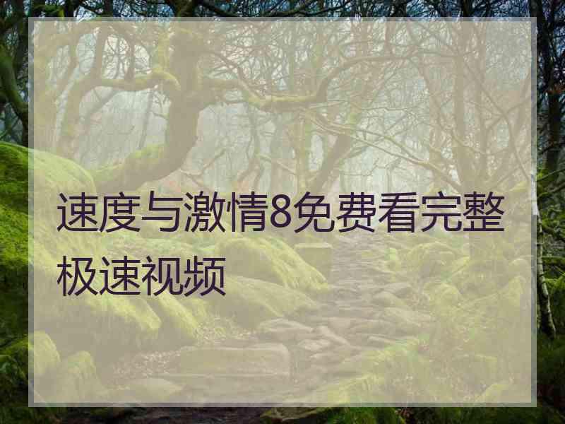 速度与激情8免费看完整极速视频