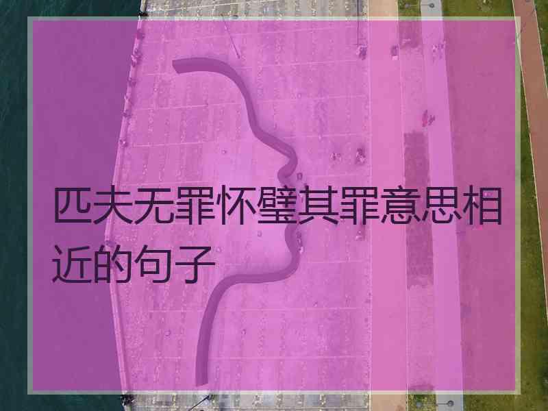 匹夫无罪怀璧其罪意思相近的句子