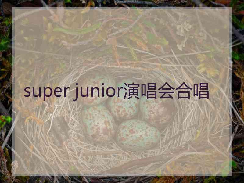 super junior演唱会合唱