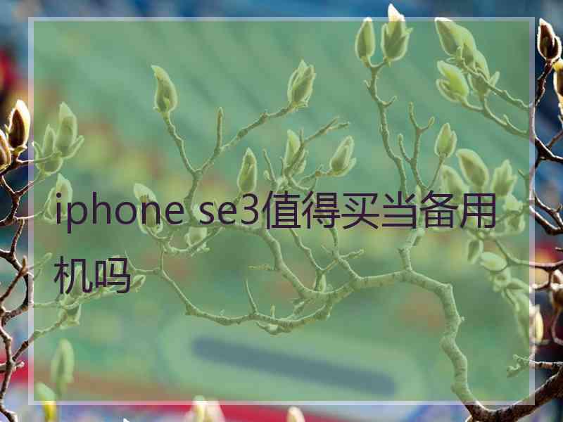 iphone se3值得买当备用机吗