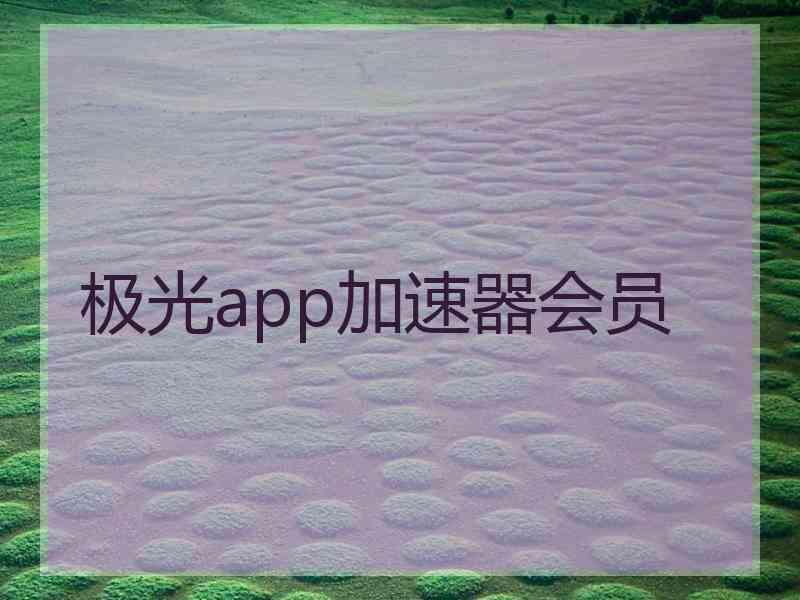 极光app加速器会员