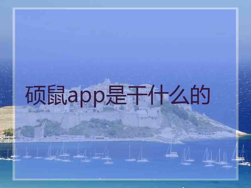 硕鼠app是干什么的