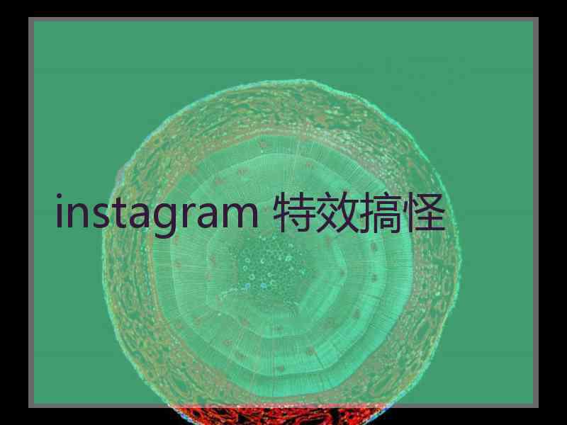 instagram 特效搞怪