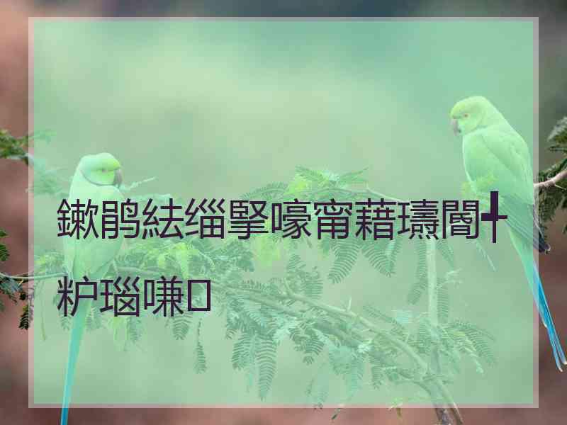 鏉鹃紶缁掔嚎甯藉瓙閽╃粐瑙嗛