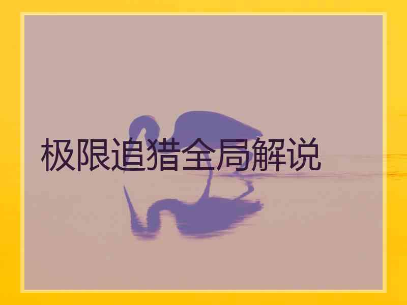 极限追猎全局解说