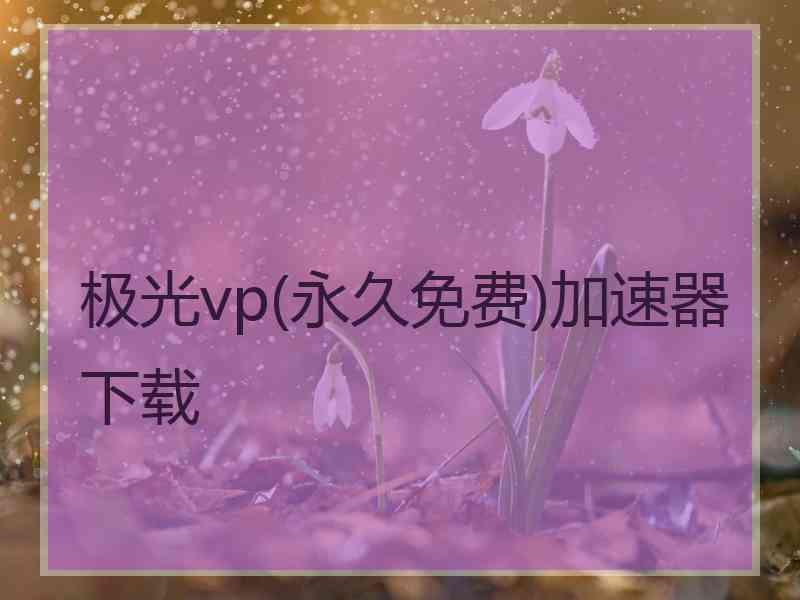 极光vp(永久免费)加速器下载