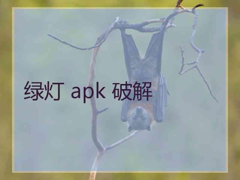 绿灯 apk 破解