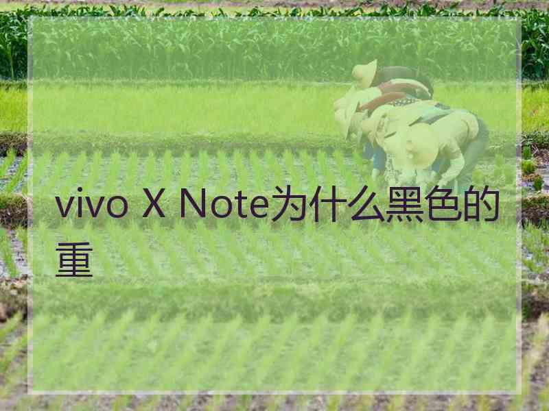 vivo X Note为什么黑色的重