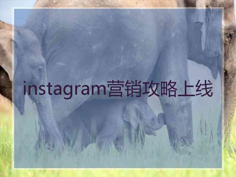 instagram营销攻略上线