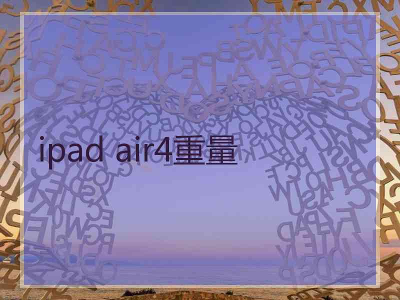 ipad air4重量