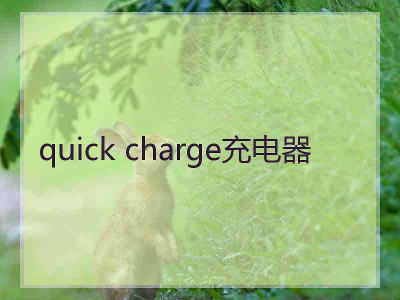 quick charge充电器