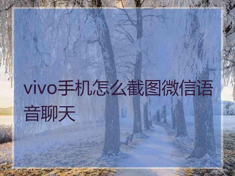 vivo手机怎么截图微信语音聊天