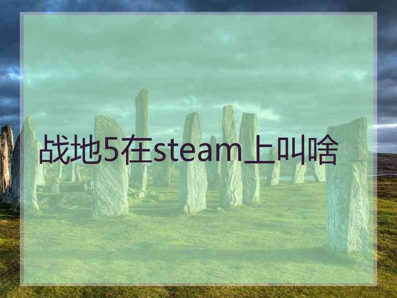 战地5在steam上叫啥