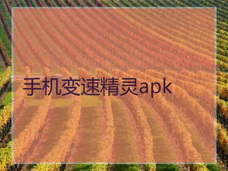 手机变速精灵apk