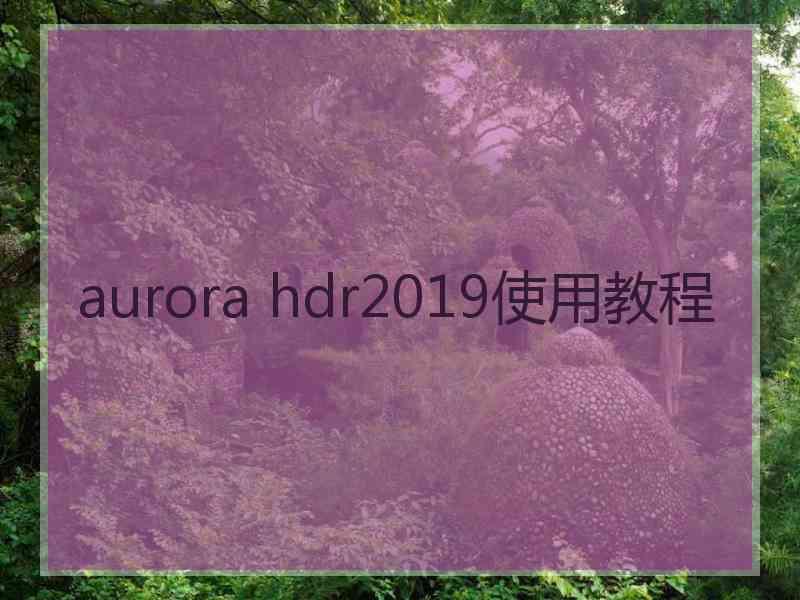 aurora hdr2019使用教程