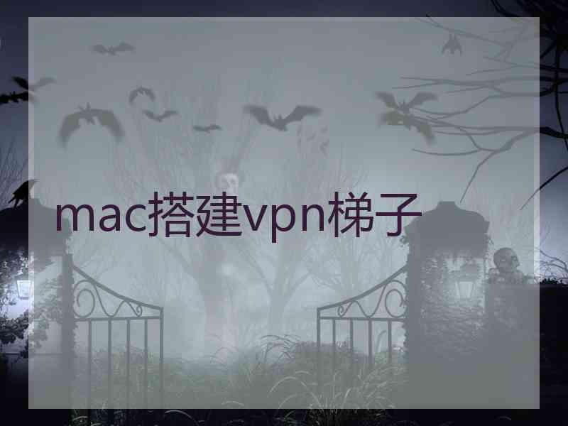 mac搭建vpn梯子