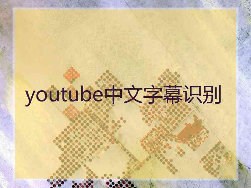 youtube中文字幕识别