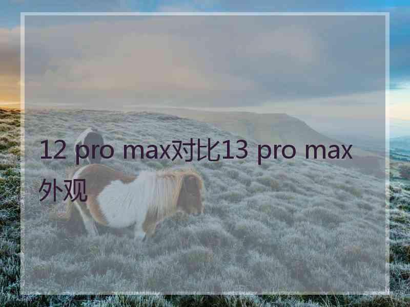 12 pro max对比13 pro max外观