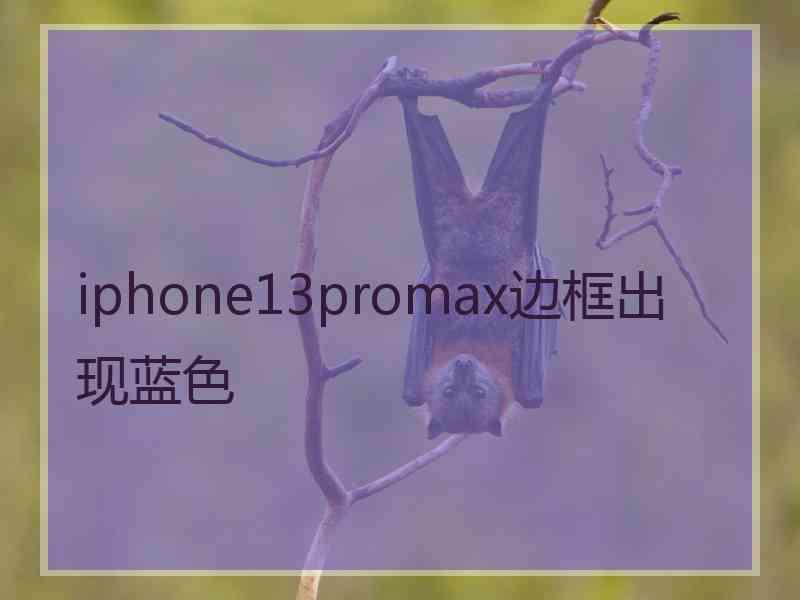 iphone13promax边框出现蓝色