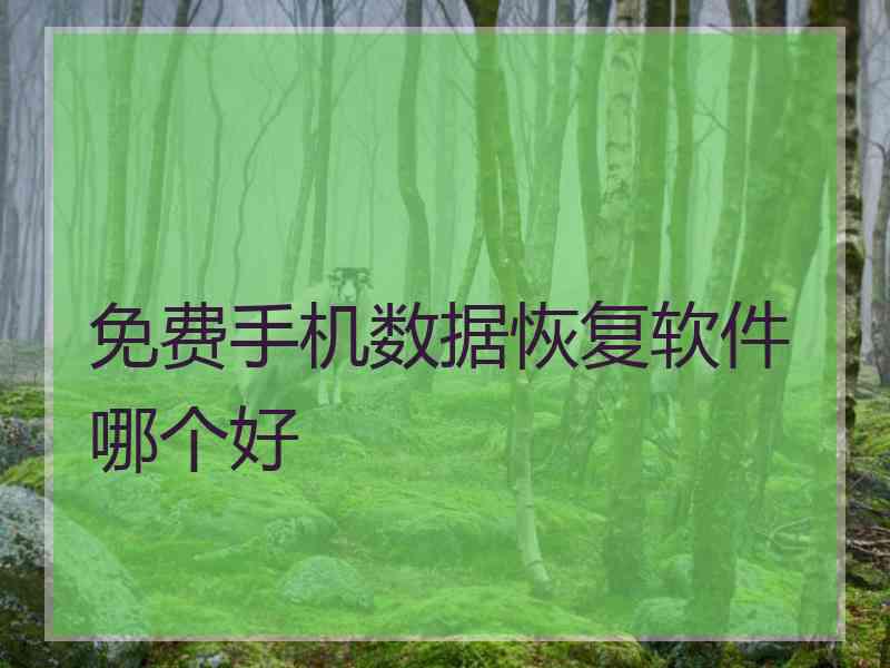 免费手机数据恢复软件哪个好