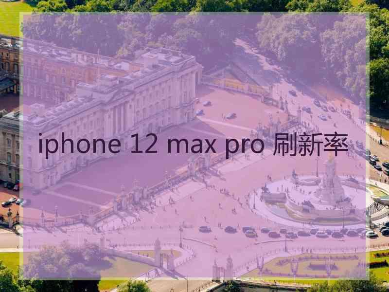 iphone 12 max pro 刷新率